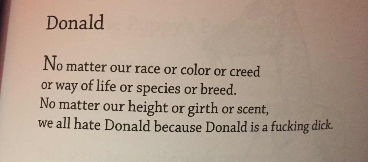 The Presidential Primary Candidates as poems by Bo Burnham