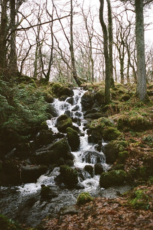 alifeingrain: Tobermory, Scotland - December 2018 Pentax K1000 on Kodak Portra 400