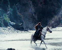 jamessirius:  get to know me meme — [1/5] favorite movies: LoTR The Fellowship