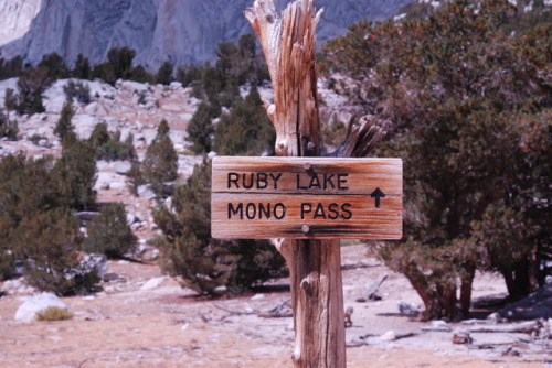 adventurous-watermelon:A year ago today… I hiked up to Ruby Lake, in the High Sierras. 11,000 feet n