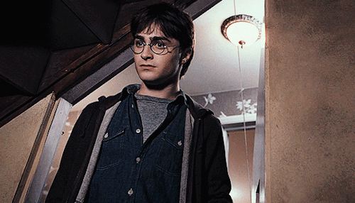 hpottah:  Harry Potter + saying goodbye to his cupboard