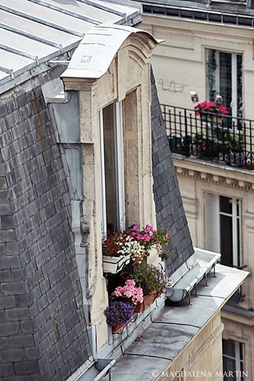 Porn photo vintagepales:  Windows of Paris 