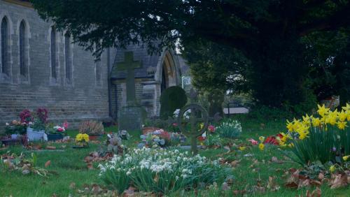 Snowdrops and Daffodils in the Churchyard at Stamford Bridge, East Riding of Yorkshire, England.If t