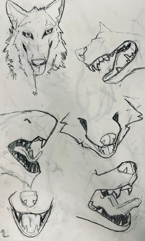 Maw And Paw Studies