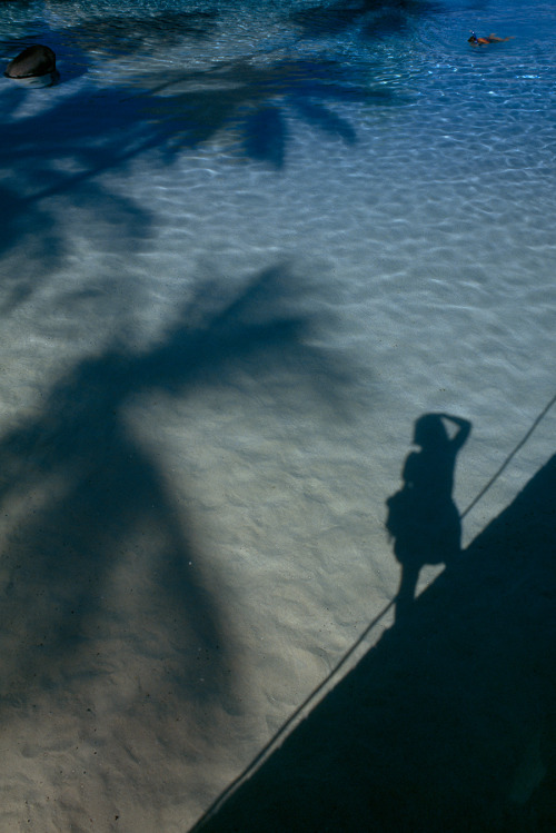 Palm trees and a photographer cast shadows on the ocean’s surface near Tahiti Island, Polynesi