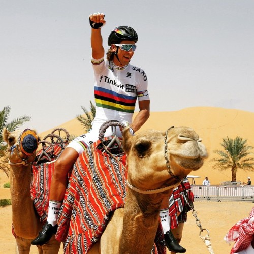 dfitzger:  by @tinkoffsaxo: World Champion @petosagan masters more than just the bike!! @abudhabitou