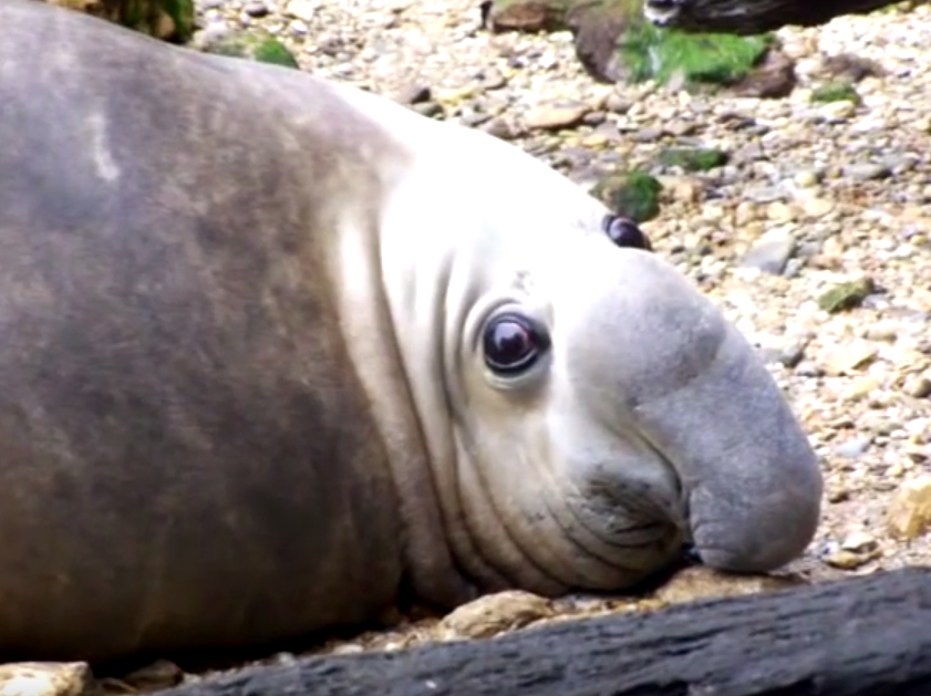 rintezukas: deadcorvus:  deadcorvus: this is the scariest photo i have ever seen