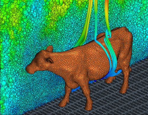 fruitsoftheweb:“Temperature field and buoyancy flow around a cow”