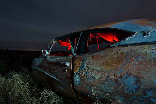 charred lark. 2015. par eyetwistVia Flickr :weeds gently caress the flank of a burned-out buick skyl