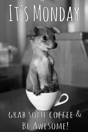 Your Coffee Guru
