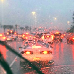 demiarobucky:  i am obsessed with rain 
