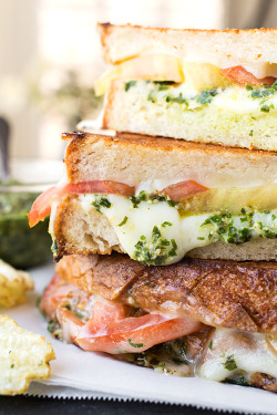  Tomato & Pesto Grilled Cheese with Provolone