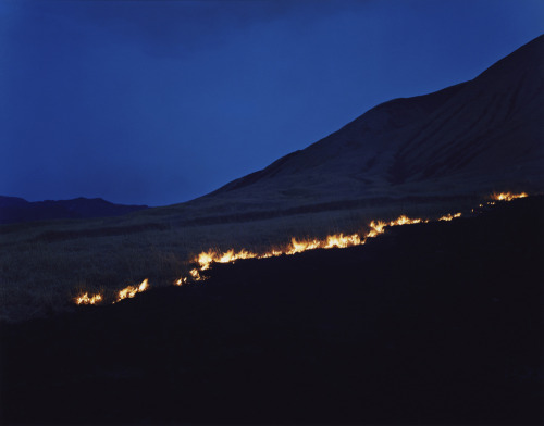 virginian-wolf-snake: Rinko Kawauchi, Ametsuchi series (2012-2013) What inspired me was a dream I ha