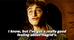 sunshineandrainbows-yer:  high harry was great 