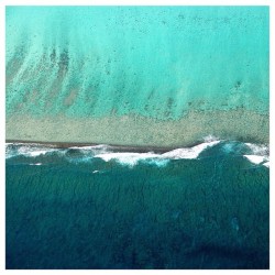 Shallows (at www.castawaylabel.com)