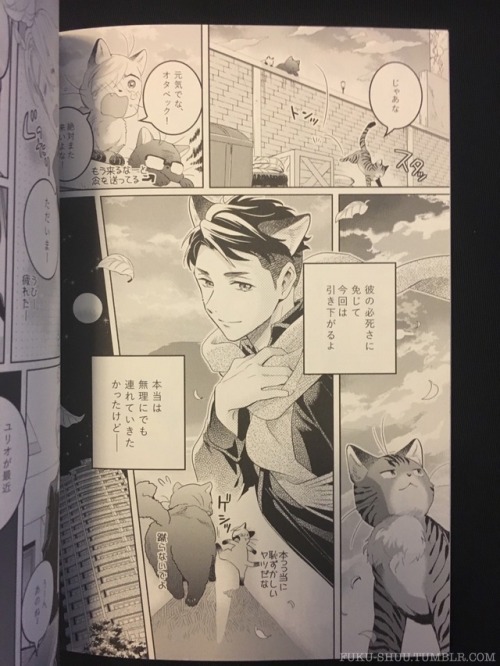 Got this new doujin (Volume 3 of Zooya’s cat!YOI series which I absolutely love), and I just had to share all the pages with “Bekat” (Who is a stray while the others are house cats) because he looks so. Damn. Cool. And. Handsome. Very DJ!Otabek-like!And