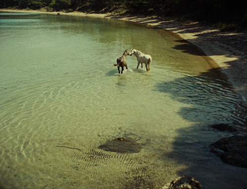 365filmsbyauroranocte: Du côté de la côte (Agnès Varda, 1958)DOPs : Agnès Varda, Hélène Louvart, A