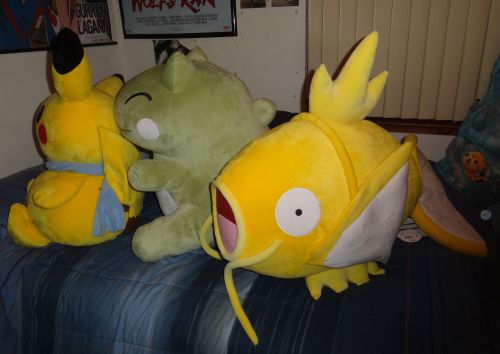 pacificpikachu:I believe these three are the biggest plush in my collection! (It was hard to limit myself to just these three because I have several other plush that are just a slightly smaller than these.) Shiny Magikarp is three feet long, to give you