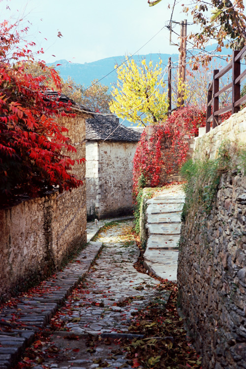 lefterisvaiopoulos: Color path Aghios Lavrentios, Mt. Pelion, Greece, November 2015