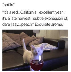 memewhore: