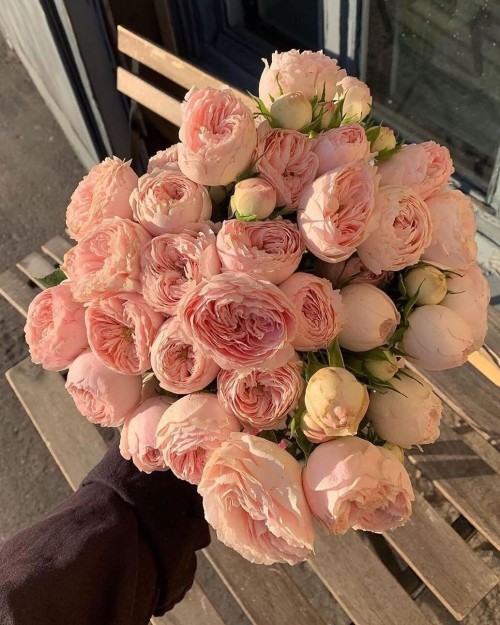 classylatingirl: labella-instagram: @lerafromsaintp «Classylatingirl»