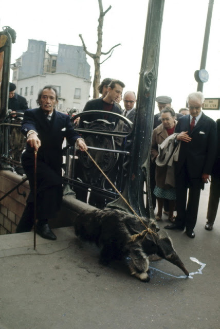 weirdvintage:Salvador Dalí walking his anteater in Paris, 1969 (via)