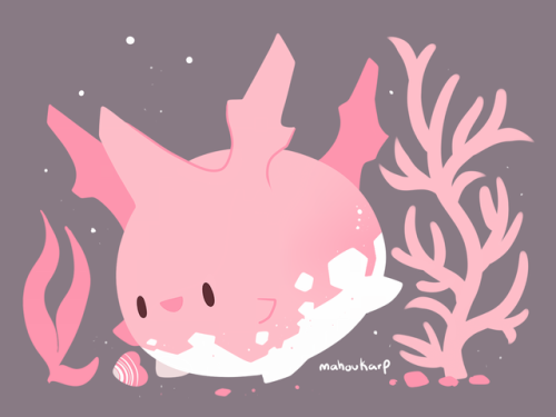 Corsola are friends not food