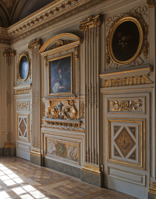 versaillesadness:  Hôtel de Sully, Paris, France. 