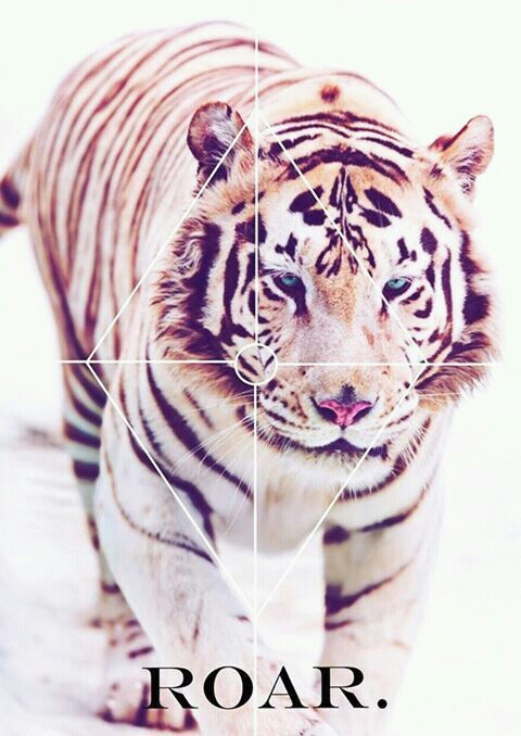 wanderlust