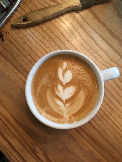 a couple recent attempts at latte art 🌷🌿💕