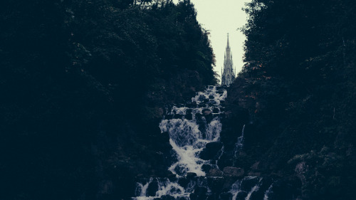 P i n e g r o v e Germany &amp; Switzerland