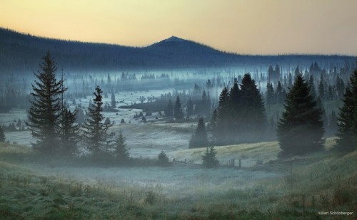 Porn mymodernmet:  Brothers Grimm’s Homeland photos