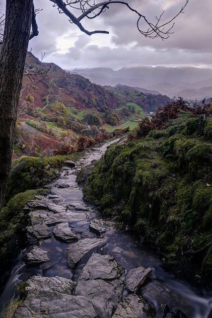 mikicis:Lake District, EnglandSourcepeace! i’m gone