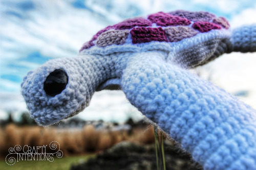 I&rsquo;m happy to announce that my brand new Sea Turtle pattern is now available!!  This pattern fe