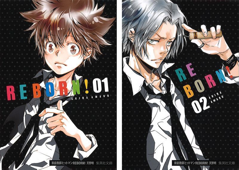 List of Katekyo Hitman Reborn! chapters and volumes