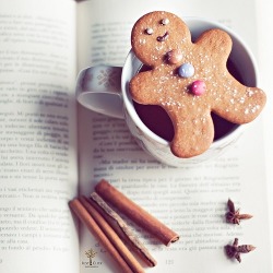 beautiful-weary-world:  GingerBread auf We Heart It. http://weheartit.com/entry/89618233 a snow storm outside and me inside &lt;3 with a hot Cup of coffee and lots of books and texts for University that are waiting to be read. So the deal is, my Cup of