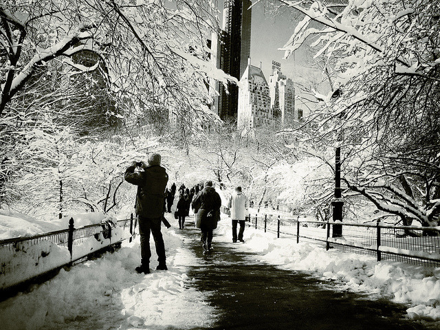 Untitled on Flickr.
Via Flickr:
Central Park
New York