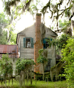 georgiangentility:  Glen Echo, built circa 1773, through the live oak, Spanish moss, and resurrection fern