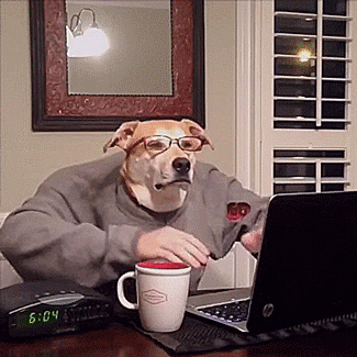 thenatsdorf:  Finley’s morning routine. [video] 