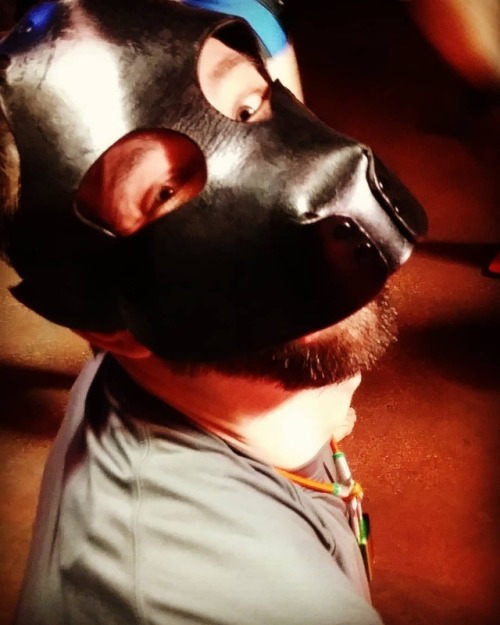 Who’s a happy dog? Are you a happy dog? #gooddog #floppyears #mask #leather #fetishpup #fetish