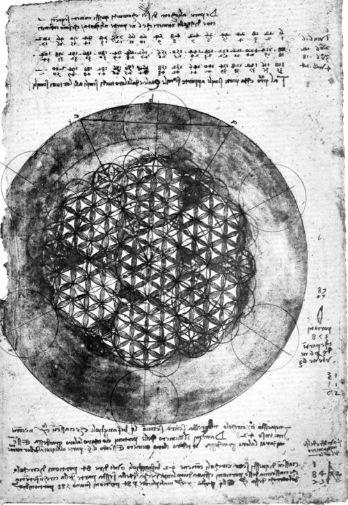 psychetronictonic:  The Flower of Life is the name New Age movement author Drunvalo Melchizedek gives to a geometrical figure composed of multiple evenly-spaced, overlapping circles. This figure forms a flower-like pattern with the symmetrical structure