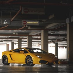 mubarakalqattan:  =========================== Camera : Canon 5D Mark III Lens : Canon 70-200mm f/2.8L IS II USM Focal Length : 95mm Mode : Manual Shutter Speed : 1/13 sec. Aperture : f/4.5 ISO : 100 Car : Lamborghini Gallardo Filter : Kenko Polerizer