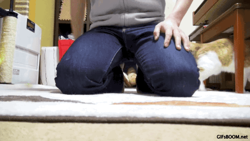 gifsboom:  Video Via: MAKO0MAKO0 + GIFs
