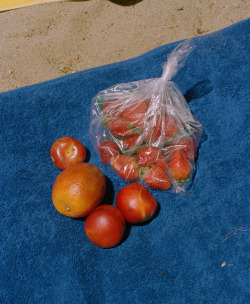 mollymatalon:  fruits in santa cruz