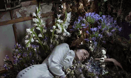 plaidbird: Mood Indigo (2013)