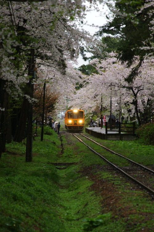 travelingcolors: Tsugaru Railway | Japan (by Chee_hian)