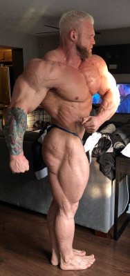 musclebull23:  