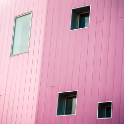 ebravn:  Pink Strays by Pierre-Lagarde