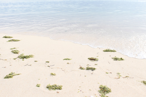lexitsoi:  You’re looking like you fell in love tonight. Lamon Bay, Philippines August 19, 2015 