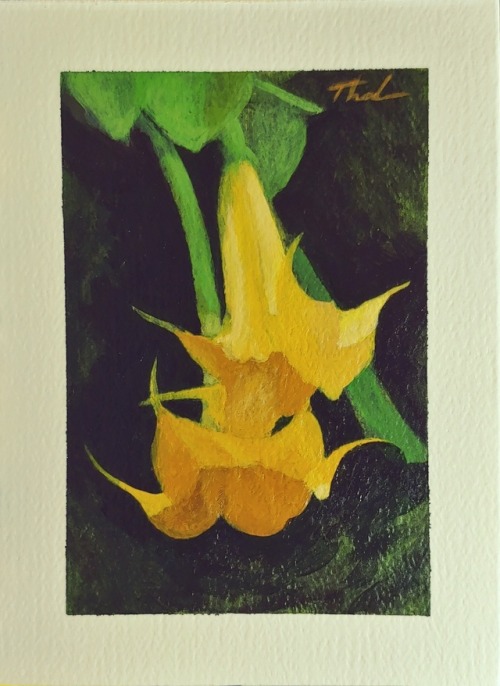 Angel Trumpets, Acrylic On Paper, 5.5x7.5 In